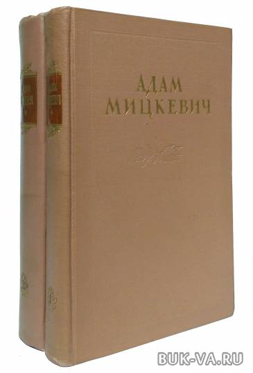 8463160.jpg