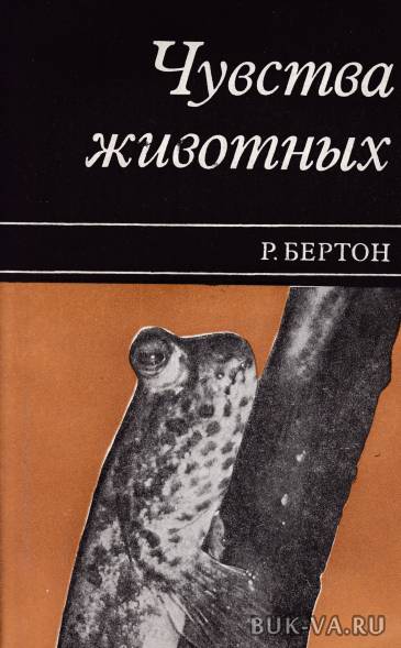 3879879.jpg 3879879.jpg