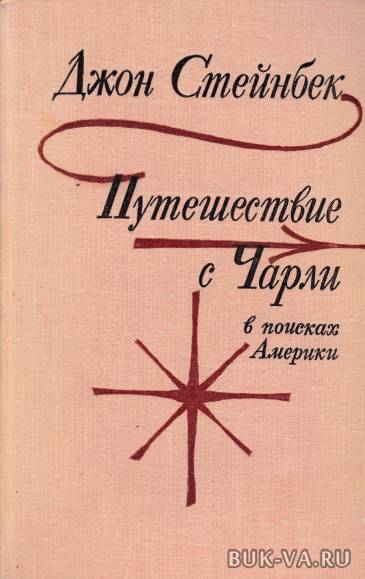 3319816.jpg