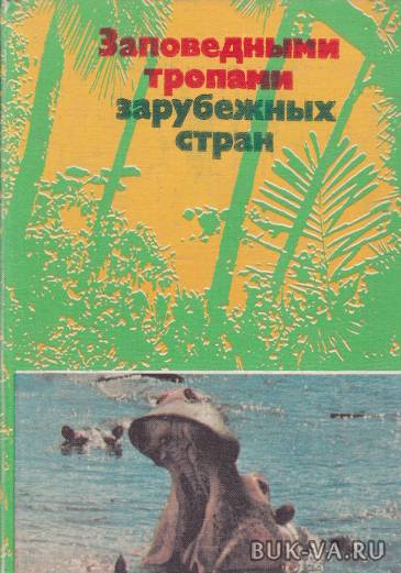 3235848.jpg 3235848.jpg