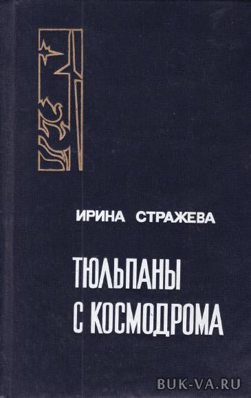 4624136.jpg