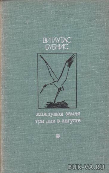 4955802.jpg