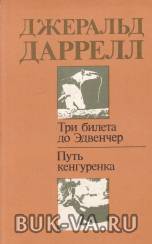 4178864.jpg