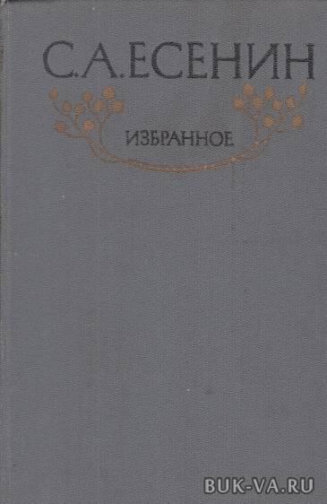4644623.jpg
