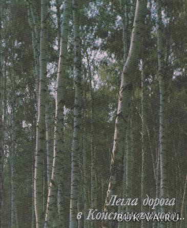 2395635.jpg 2395635.jpg
