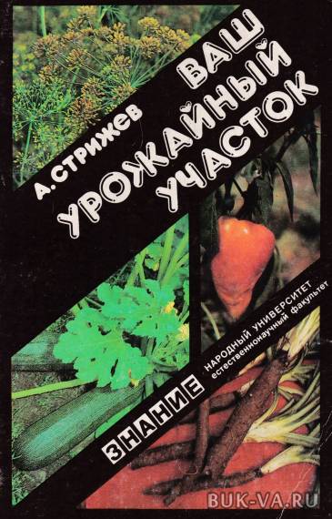 4572535.jpg 4572535.jpg