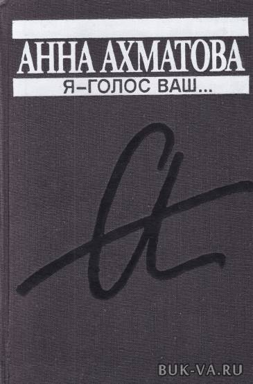 2470083.jpg
