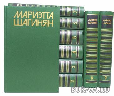 7013186.jpg