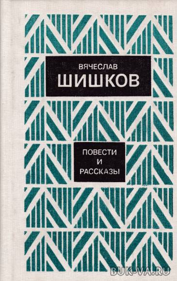 2316865.jpg