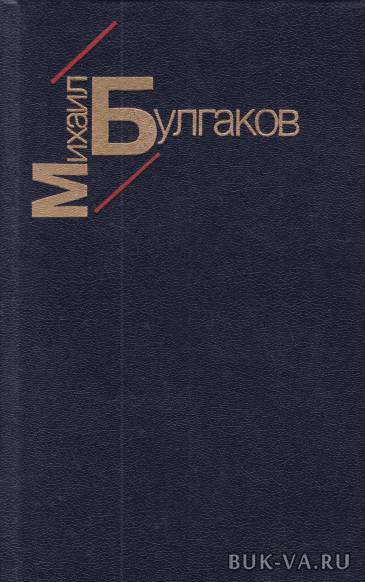 2424272.jpg