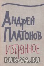 2449266.jpg
