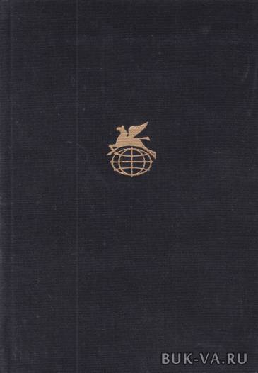 3307381.jpg
