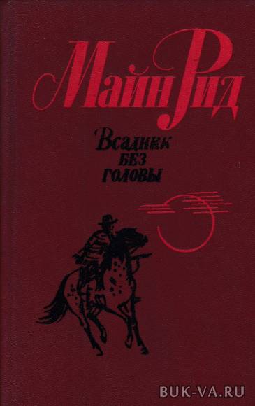 3391567.jpg