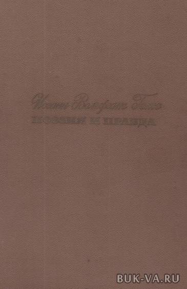 4098008.jpg