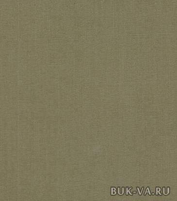 4315076.jpg