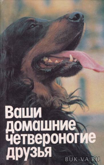 5041337.jpg 5041337.jpg