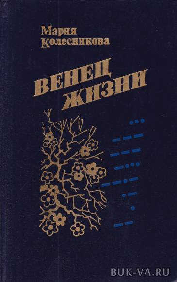 5530354.jpg 5530354.jpg