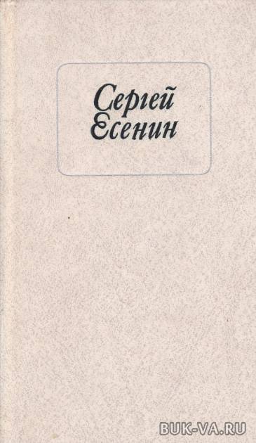5906016.jpg