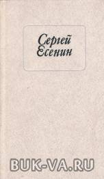 5906016.jpg