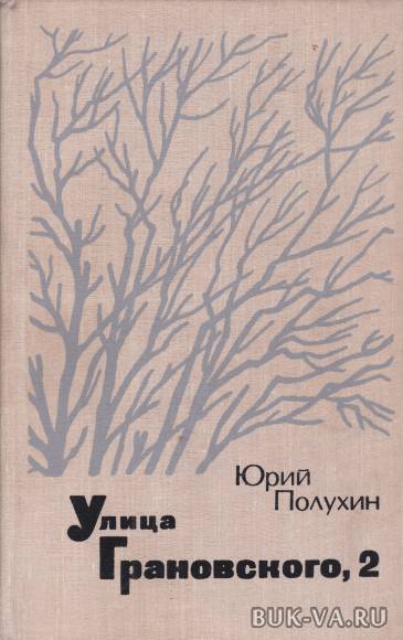 8819824.jpg