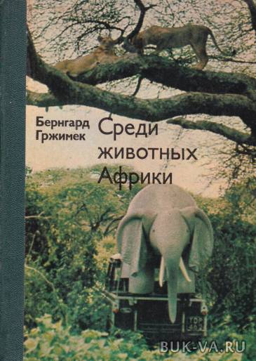 3847130.jpg
