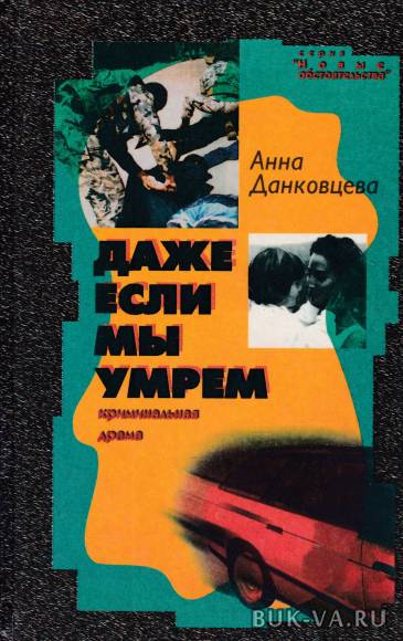3950416.jpg