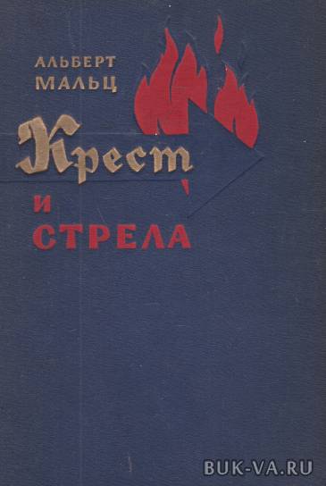 5047249.jpg