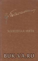 5370950.jpg
