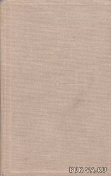 7344001.jpg