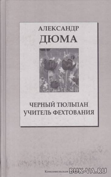 25953695.jpg