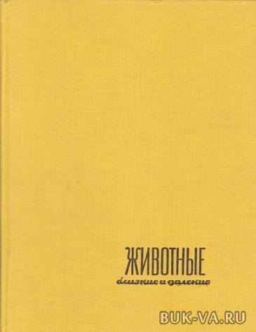 33193146.jpg