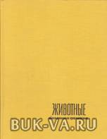 33193146.jpg