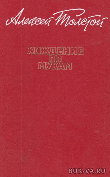 2157985.jpg