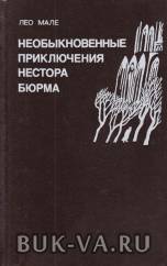 3172707.jpg