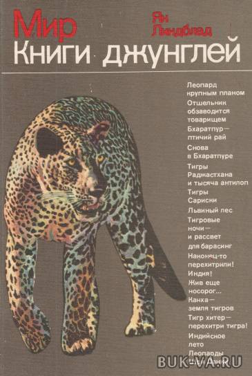 2447005.jpg 2447005.jpg