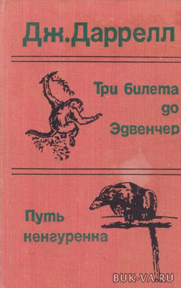 2444403.jpg