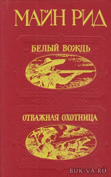 2617284.jpg