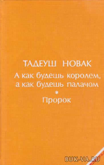 5061565.jpg 5061565.jpg