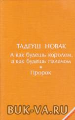 5061565.jpg