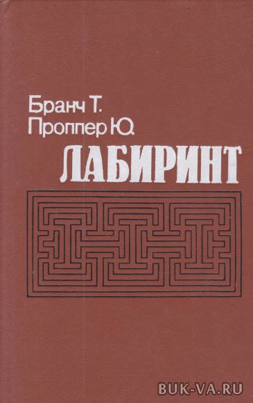 5169781.jpg
