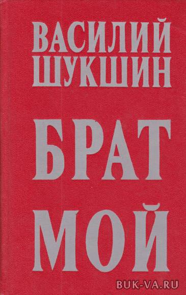 2609137.jpg 2609137.jpg