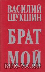 2609137.jpg