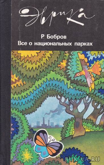 3969581.jpg 3969581.jpg