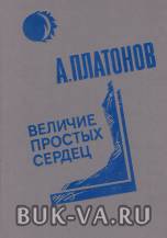 2719601.jpg