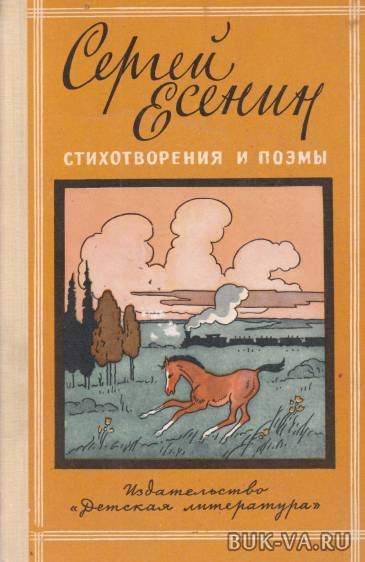 4513817.jpg 4513817.jpg