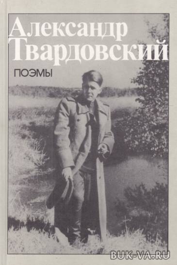 3105488.jpg