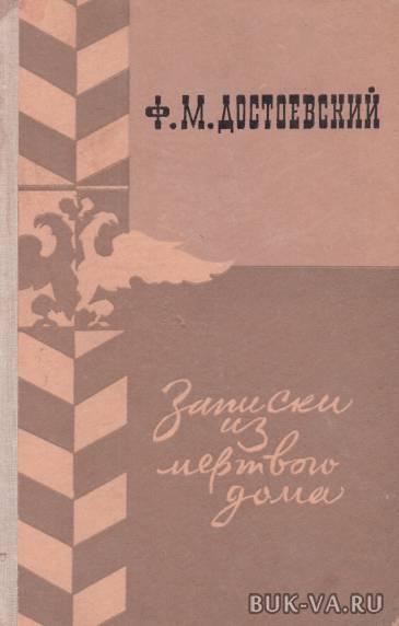 4632710.jpg