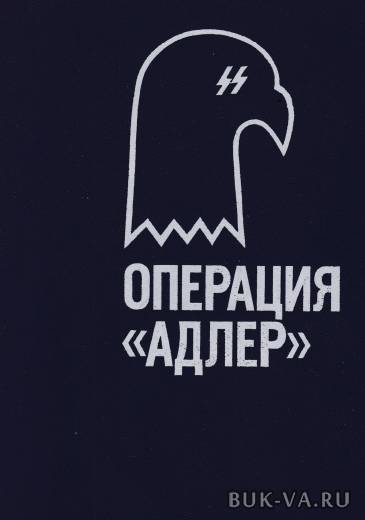 2325535.jpg