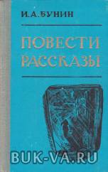 4364840.jpg