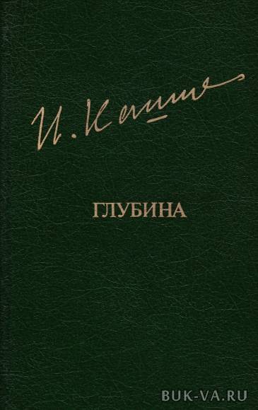 4918391.jpg